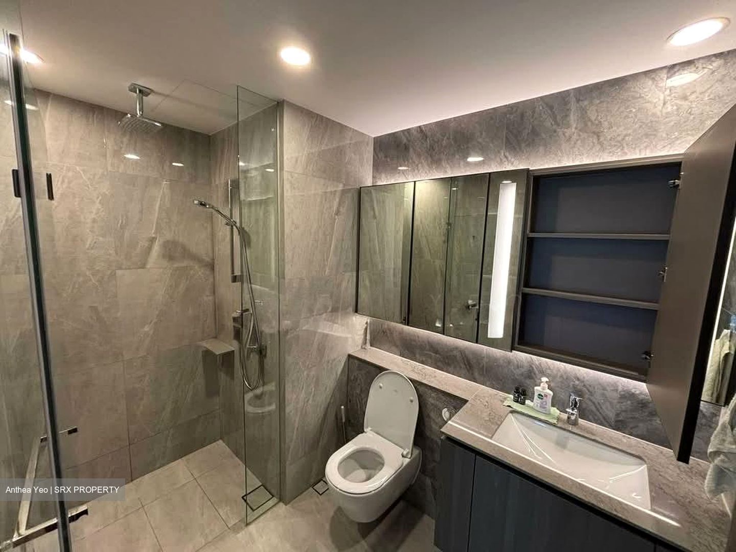 Piccadilly Grand (D8), Apartment #565296991